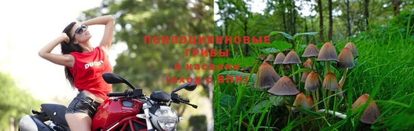 наркотики Белоозёрский