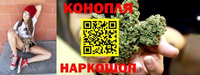 прущие грибы Аша