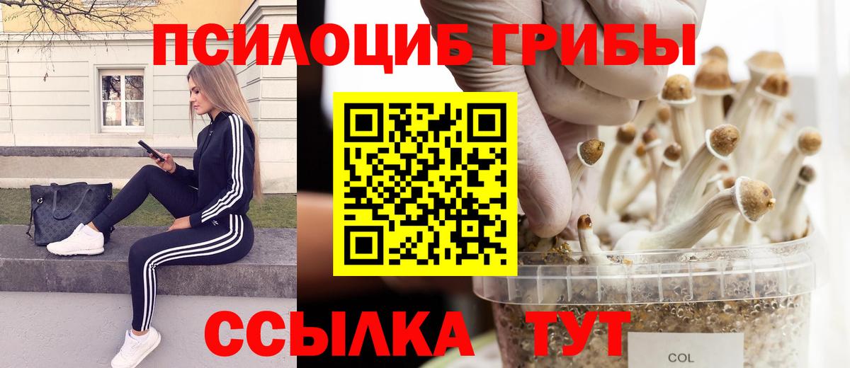 Псилоцибиновые грибы ЛСД Пятигорск